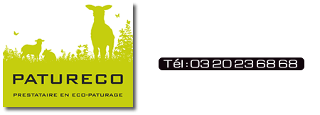 PaturEco, écopaturage professionnel nord